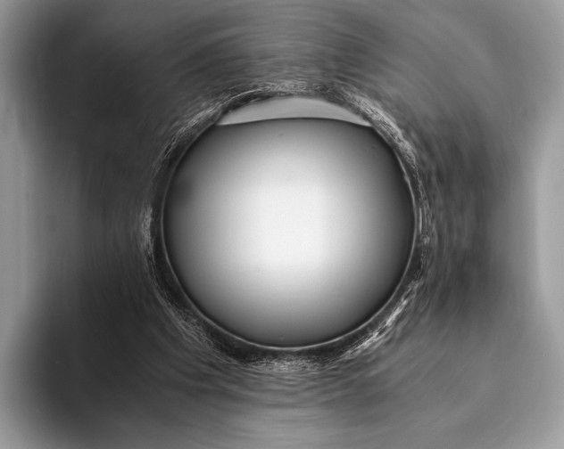 X0000093160201200710171216
