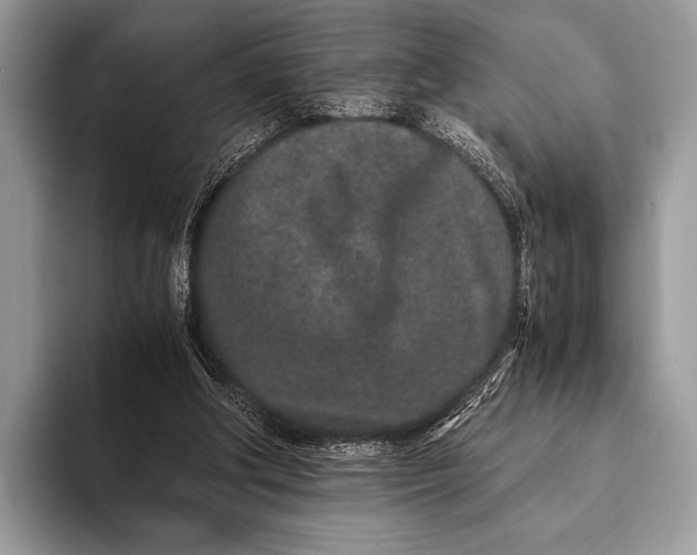 X0000093160202200710171216