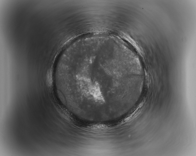 X0000093160203200710171216