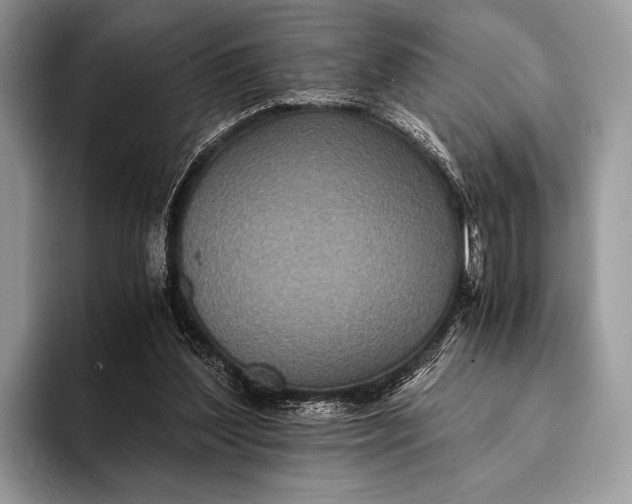 X0000093160204200710171216