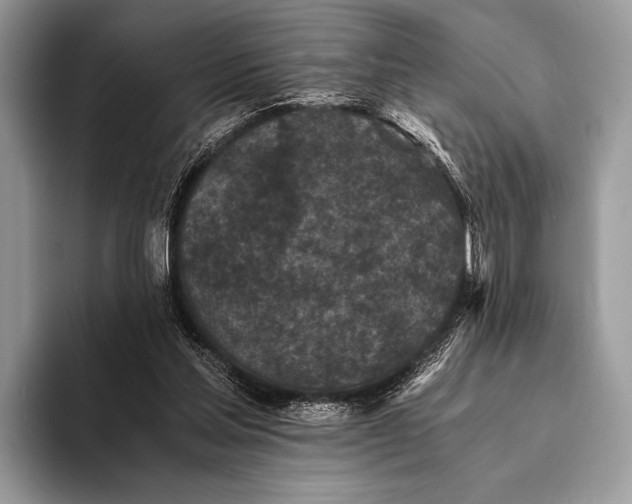 X0000093160205200710171216