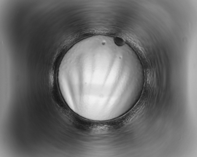 X0000093160206200710171216