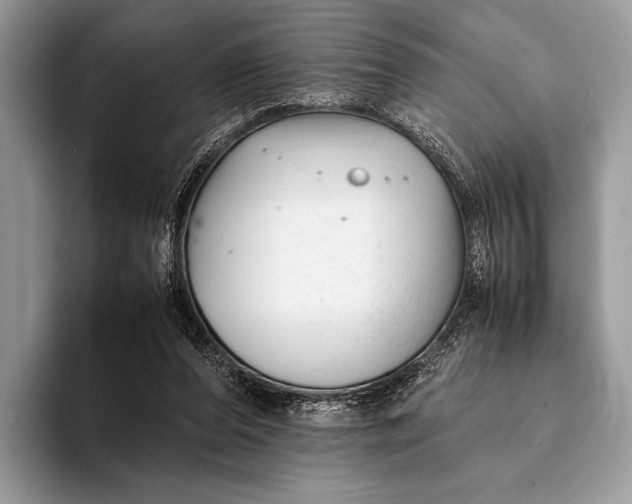X0000093160208200710171216