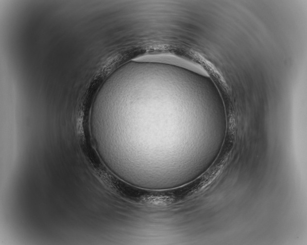 X0000093160209200710171216