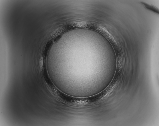 X0000093160213200710171216