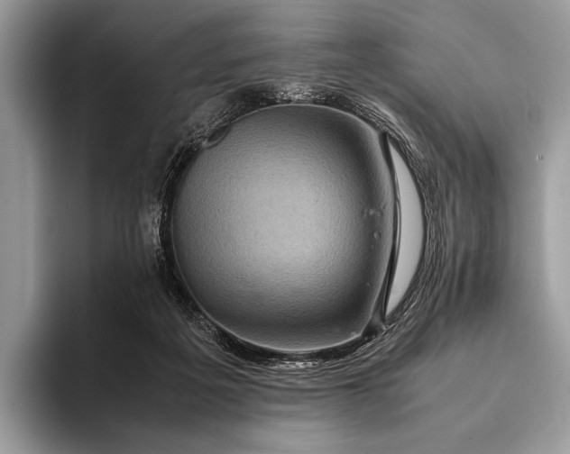X0000093160217200710171215