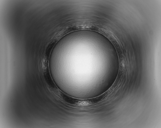 X0000093160218200710171215
