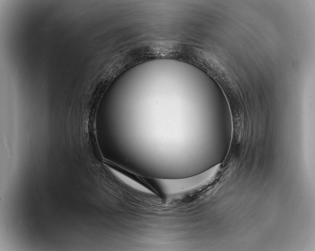 X0000093160221200710171215