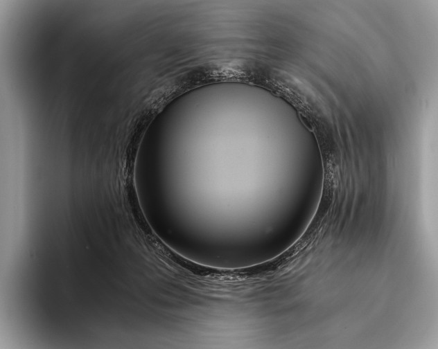 X0000093160223200710171215