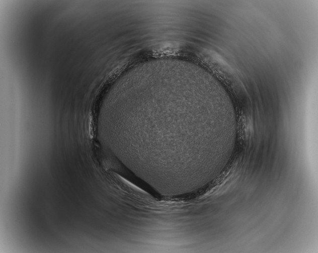 X0000093160224200710171215