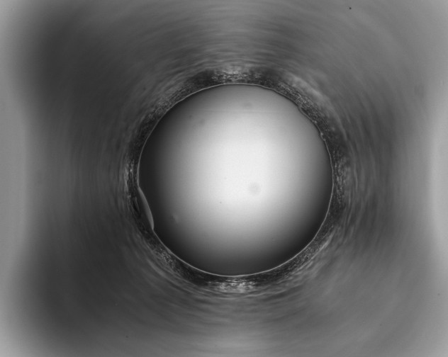 X0000093160225200710171215