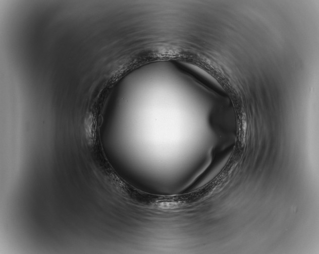 X0000093160228200710171215