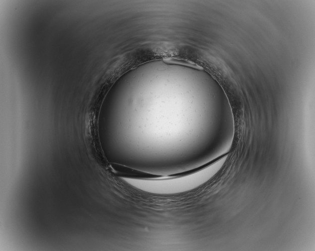 X0000093160229200710171215