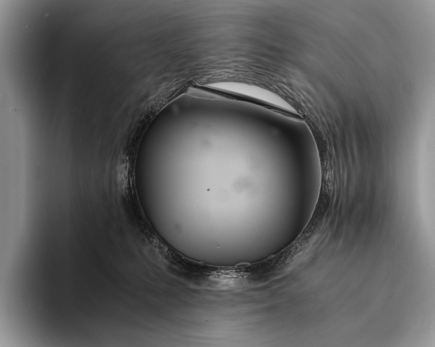 X0000093160231200710171215