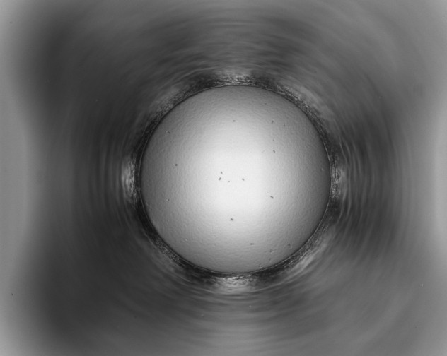 X0000093160238200710171215