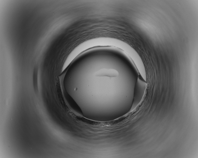 X0000093160239200710171215