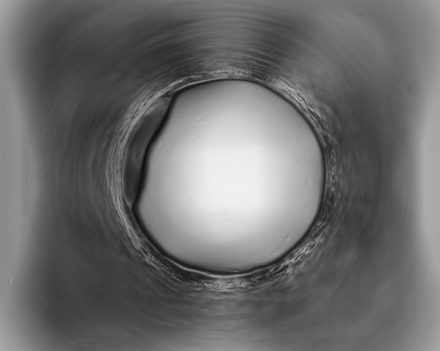 X0000093160241200710171215