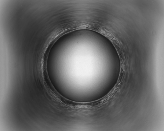 X0000093160242200710171215