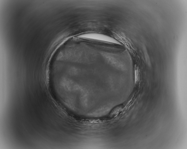 X0000093160243200710171215
