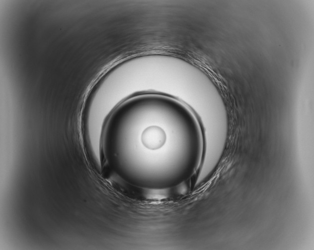 X0000093160244200710171215