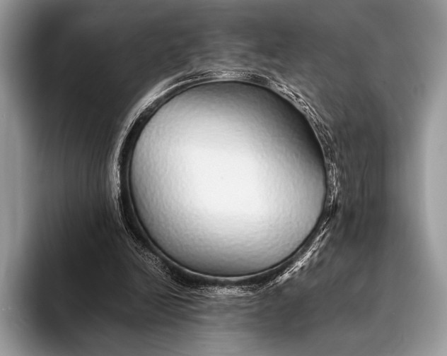 X0000093160246200710171215