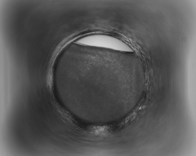 X0000093160247200710171215