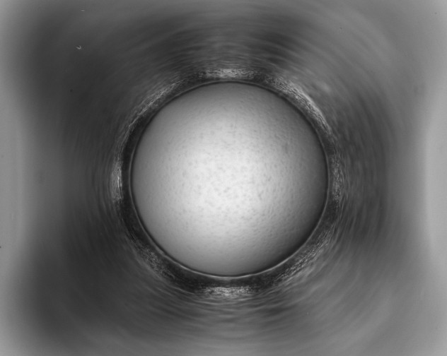 X0000093160251200710171215
