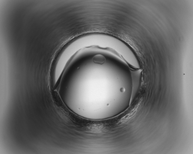 X0000093160252200710171215