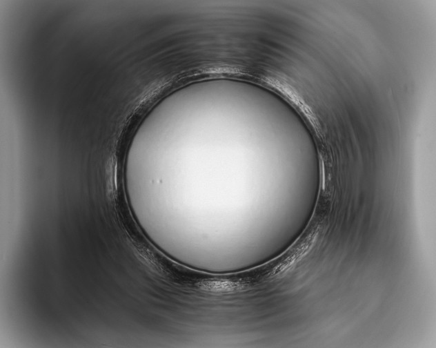 X0000093160253200710171215