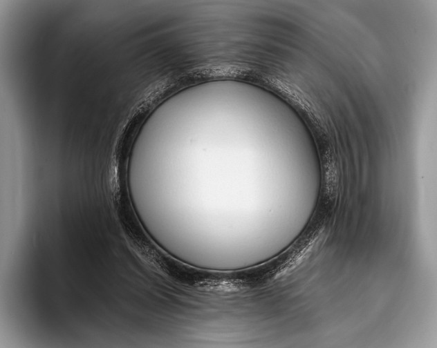 X0000093160254200710171215