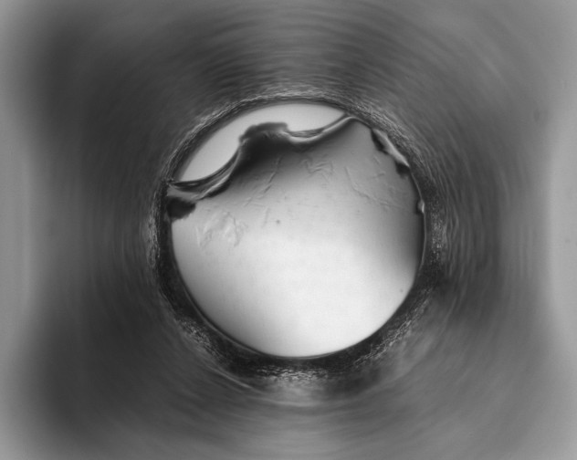 X0000093160256200710171215