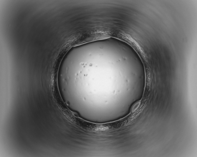 X0000093160257200710171215