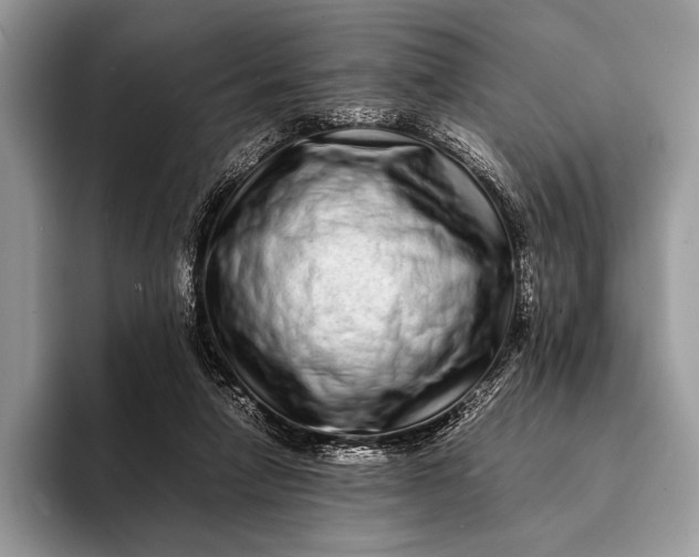 X0000093160258200710171215