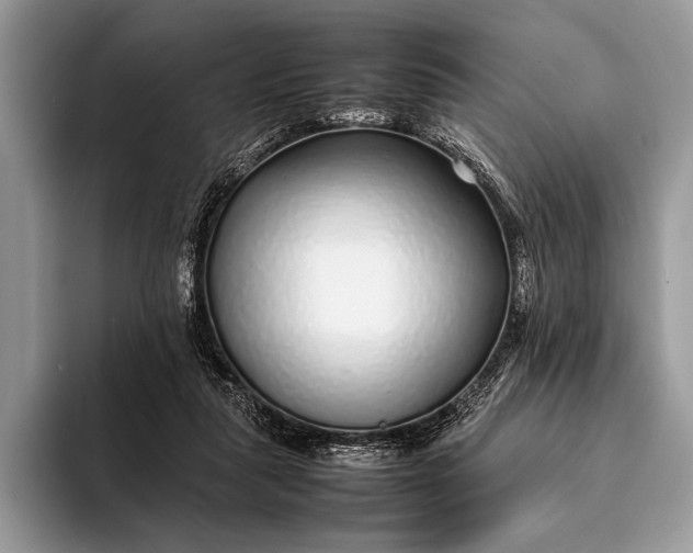 X0000093160259200710171215