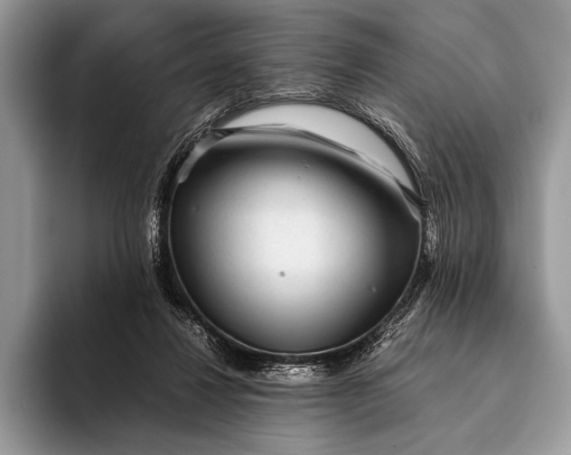 X0000093160260200710171215