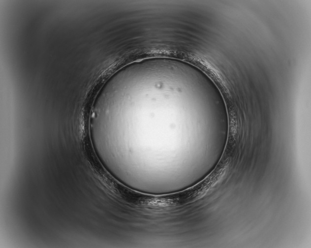 X0000093160261200710171215