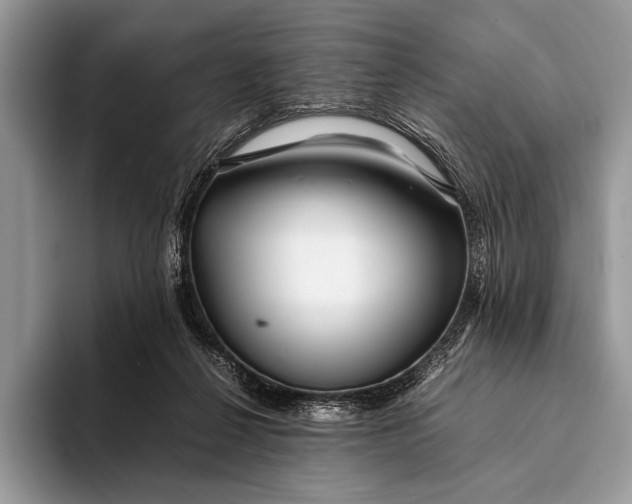 X0000093160264200710171215
