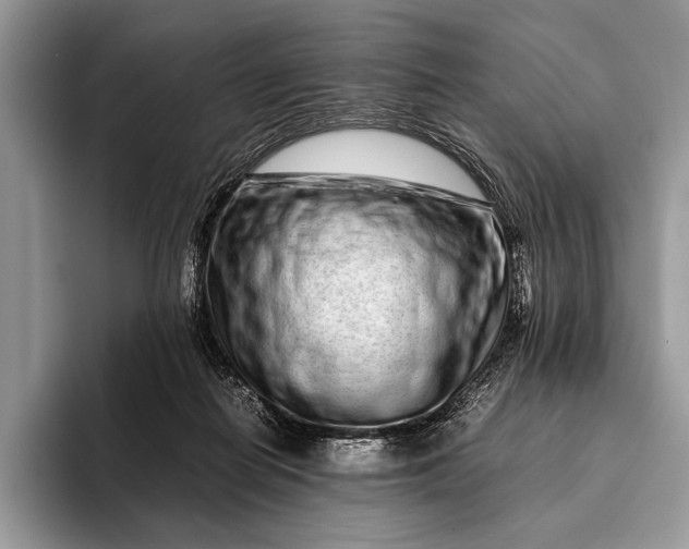 X0000093160266200710171215