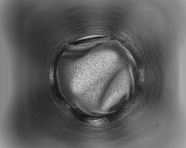 X0000093160267200710171215