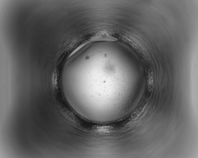 X0000093160268200710171215