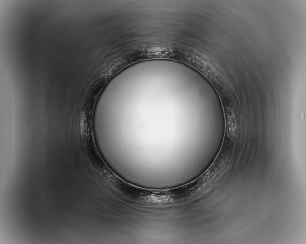 X0000093160270200710171215