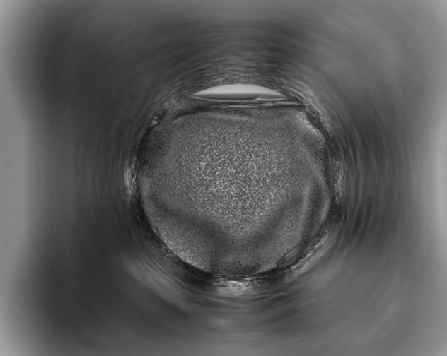 X0000093160285200710171215