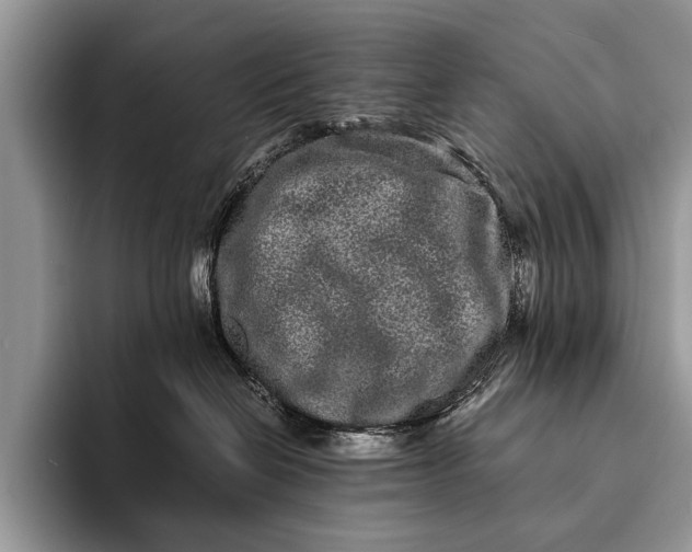 X0000093160286200710171215