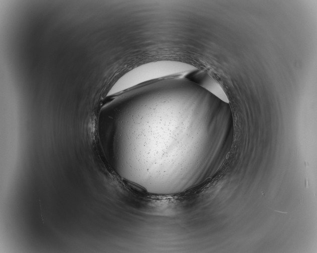 X0000093160288200710171215