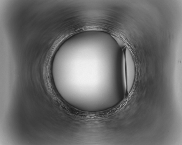 X0000093160289200710171215