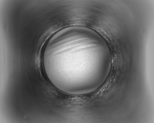 X0000093160290200710171215