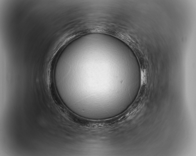 X0000093160291200710171215