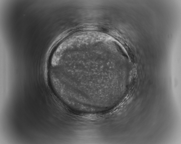 X0000093160293200710171215