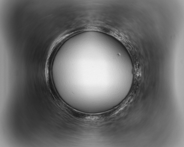 X0000093160294200710171215