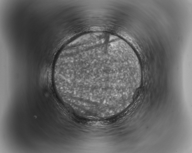 X0000093160297200710171215